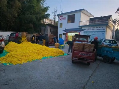 长安镇积极落实寒潮防御预警，全力保障种养殖大户安全生产